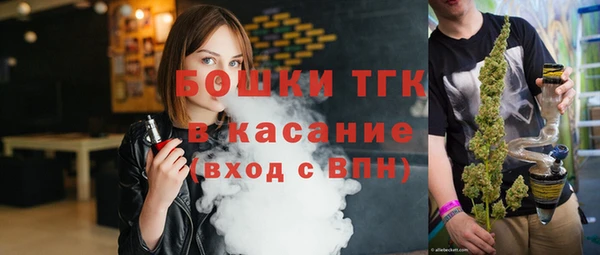 шишки Сосновка
