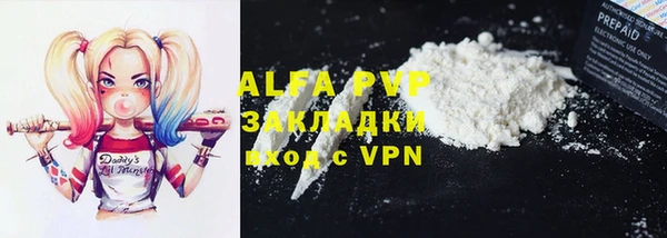 индика Сосновый Бор