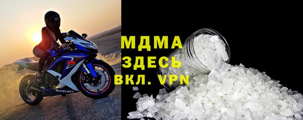индика Сосновый Бор