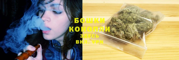 шишки Сосновоборск