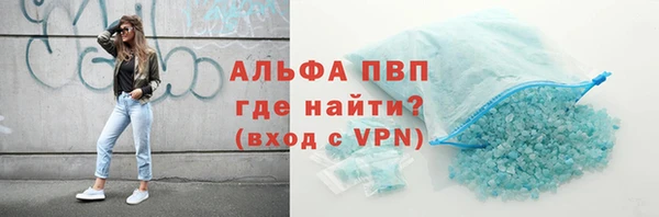 индика Сосновый Бор