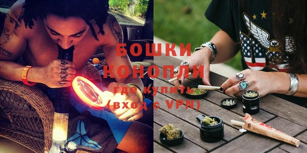 шишки Сосновоборск