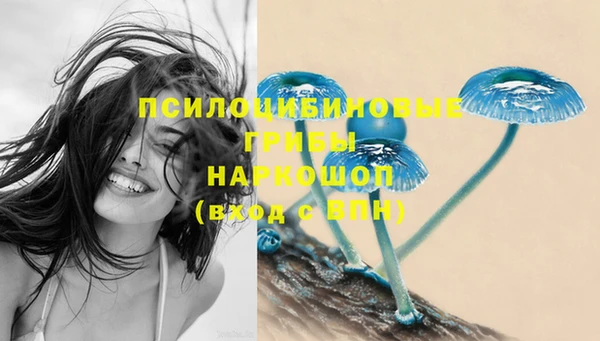 шишки Сосновка